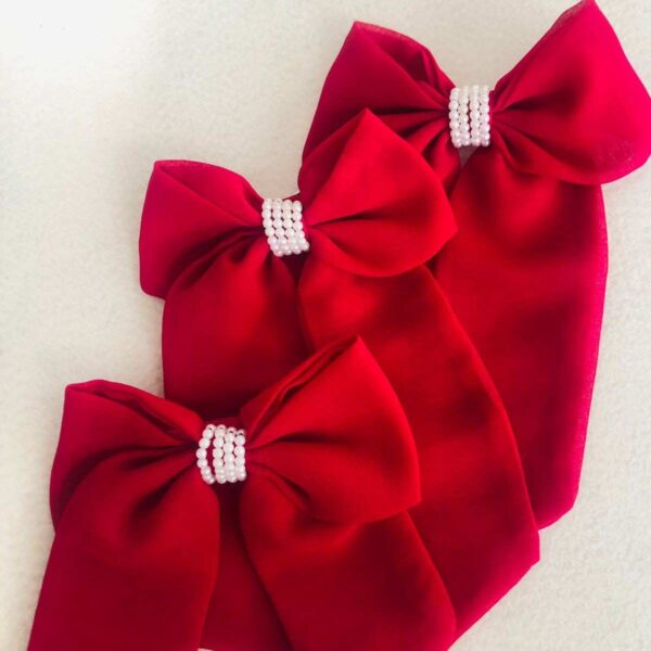 Regular Style Hair Bow