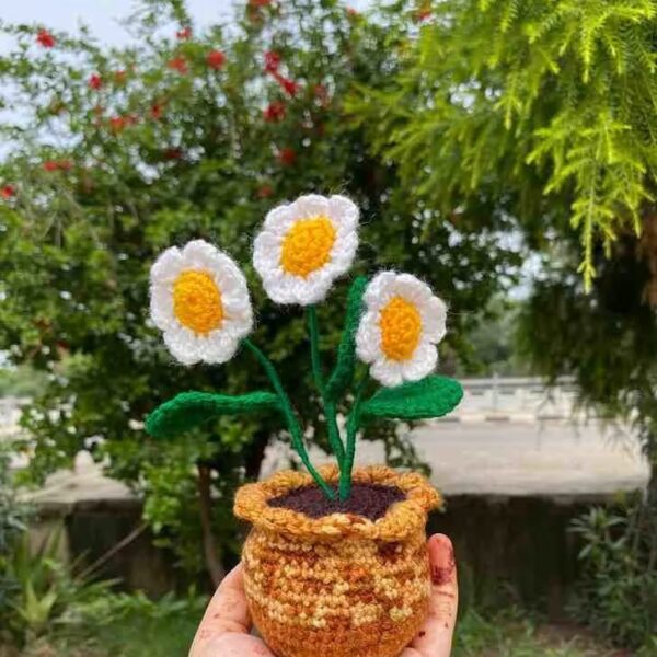 Daisy flower pot