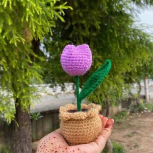 Tulip flower pot