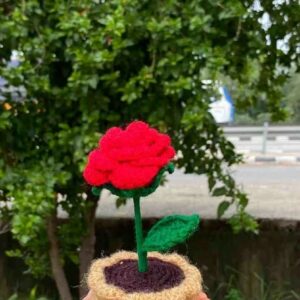 Rose flower pot