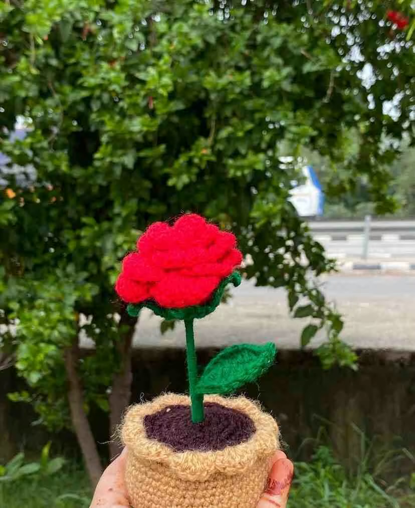 IMG_7984 Rose flower pot - Image 1